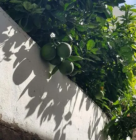 فيلة Lovely 2 Bedroom House With Private Garden *